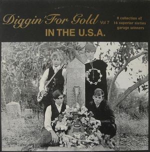 Diggin’ for Gold, Volume 7: In the U.S.A.