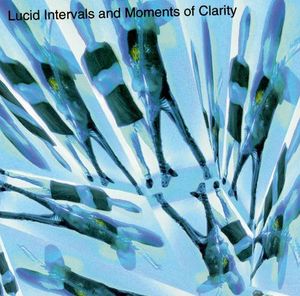 Lucid Intervals and Moments of Clarity