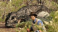 T-Rex and Pumice