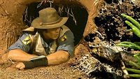 Cynodont and Lichen