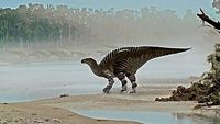 Iguanadon Footprint