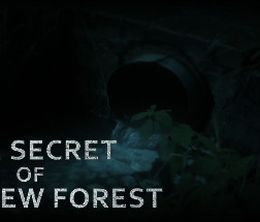 image-https://media.senscritique.com/media/000016519928/0/The_Secret_of_Pineview_Forest.jpg