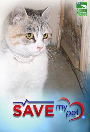 Save My Pet