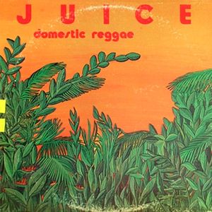 Domestic Reggae