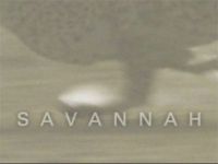 Savannah