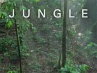 Jungle