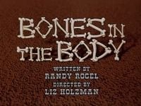 Bones in the Body