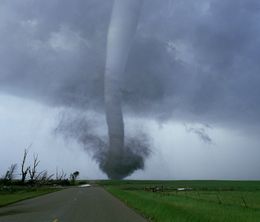 image-https://media.senscritique.com/media/000016532230/0/tornado_alley.jpg