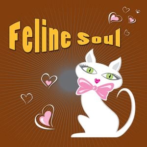 Feline Soul
