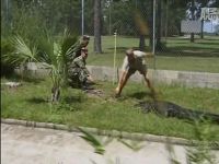 Wildlife in Combat