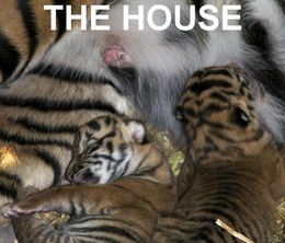 image-https://media.senscritique.com/media/000016542545/0/tigers_about_the_house.jpg