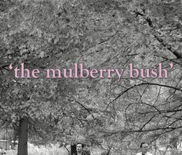 image-https://media.senscritique.com/media/000016542581/0/the_mulberry_bush.jpg