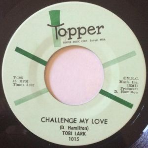 Sweep It Out in the Shed (Single)