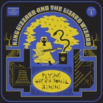 Pochette Flying Microtonal Banana