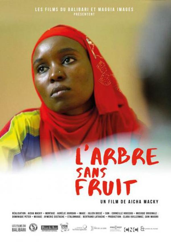 L’Arbre sans fruit