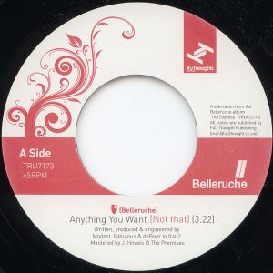 Anything You Want (Not That) (Single)