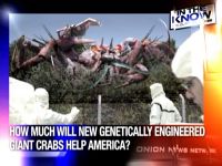 Experts Agree Giant, Razor-Clawed Bioengineered Crabs Pose No Threat