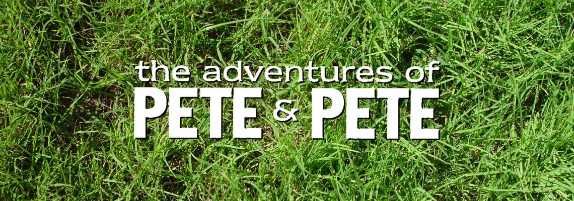 Cover The Adventures of Pete & Pete