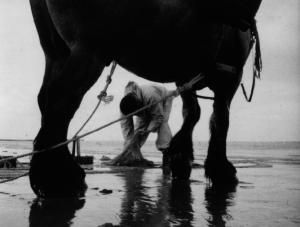 Pêcheurs à cheval