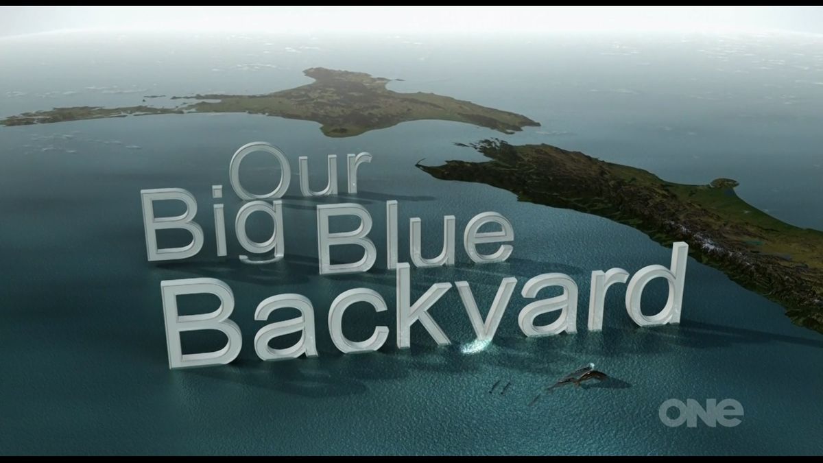 Our Big Blue Backyard Série (2014) SensCritique