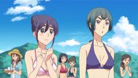 The Beach! Bathing Suits! Time to Get Serious!
