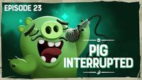 Porc interrompu