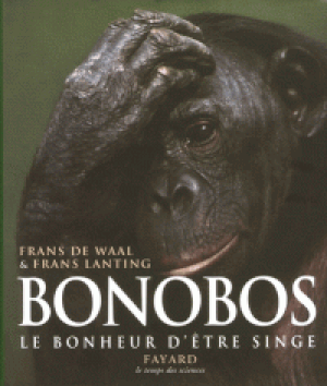 Bonobos, le bonheur d'être singe