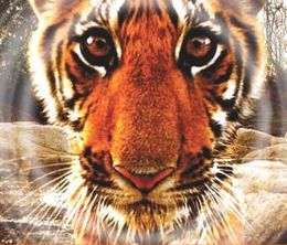 image-https://media.senscritique.com/media/000016590305/0/tiger_spy_in_the_jungle.jpg