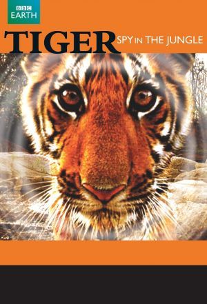 Tiger - Spy in the Jungle