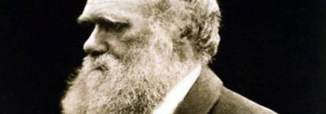 Cover Charles Darwin and the Tree of Life