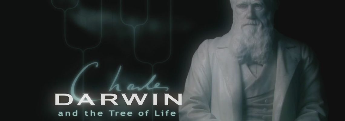 Cover Charles Darwin and the Tree of Life