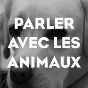 Parler avec les animaux