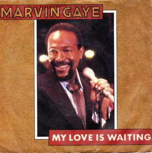 Rockin' After Midnight