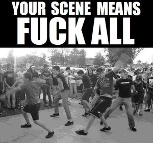 Your Scene Means Fuck All