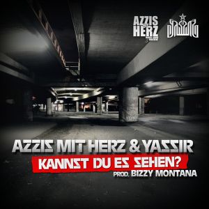 Kannst du es sehen? (Single)