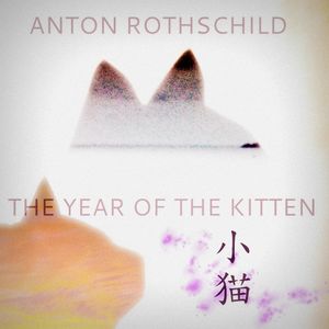 The Year of the Kitten