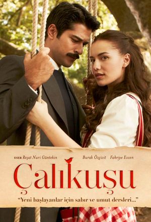 Calikusu (2013)