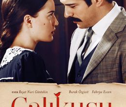 image-https://media.senscritique.com/media/000016608314/0/calikusu_2013.jpg