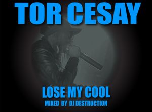 Lose My Cool: Mixed By DJ Destruction