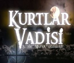 image-https://media.senscritique.com/media/000016610944/0/valley_of_the_wolves.jpg