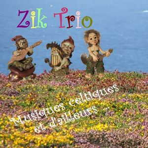 Musiques celtiques et d'ailleurs...