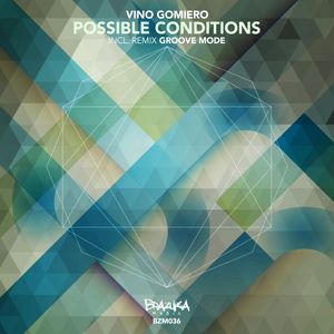 Possible Conditions (Single)