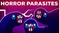 The Most Gruesome Parasites - Neglected Tropical Diseases Explained