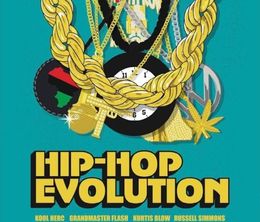 image-https://media.senscritique.com/media/000016617547/0/hip_hop_evolution.jpg