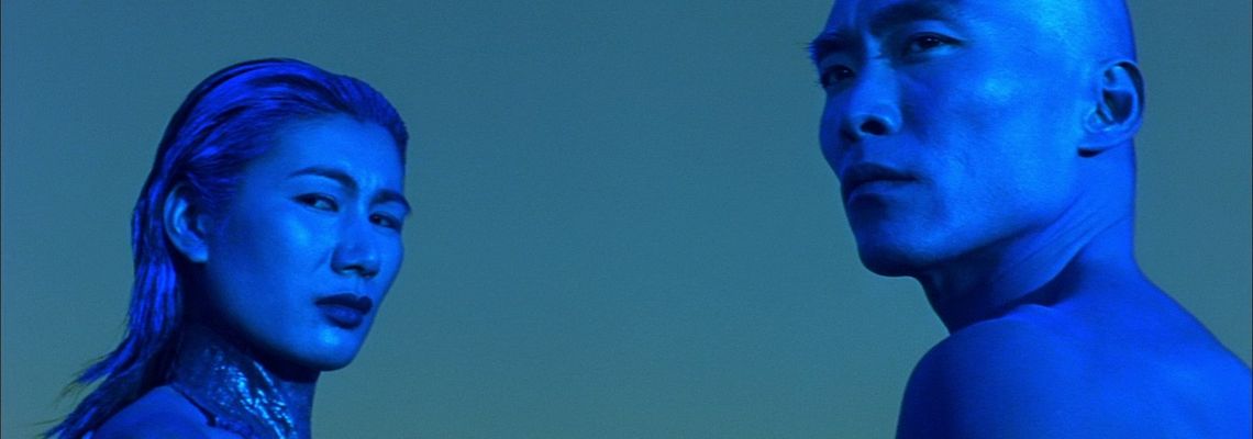 Cover The Wesley's Mysterious File