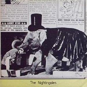 The Nightingales EP (EP)