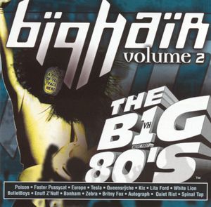 VH1 The Big 80's: Big Hair, Volume 2