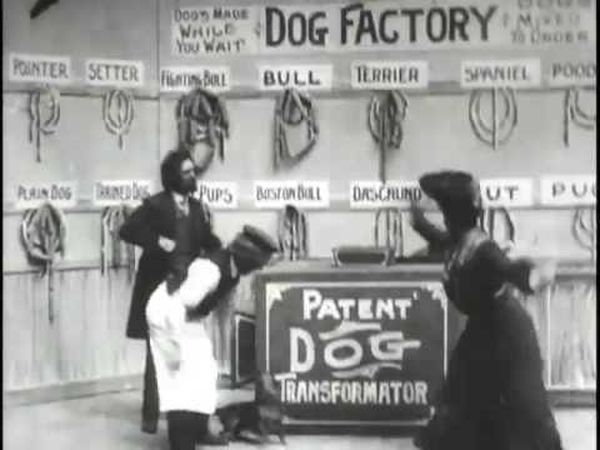 Dog Factory