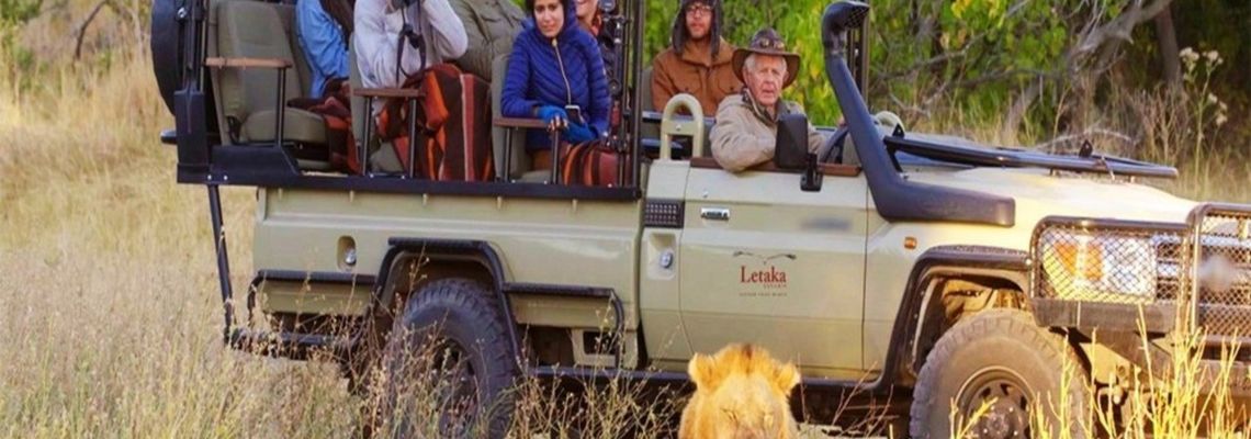 Cover Safari Brothers