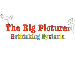 image-https://media.senscritique.com/media/000016646942/0/the_big_picture_rethinking_dyslexia.jpg